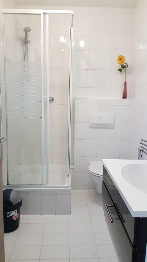 Flats-4U - Cosy, Quite & Clean Apartments In The City Bonn Exterior photo